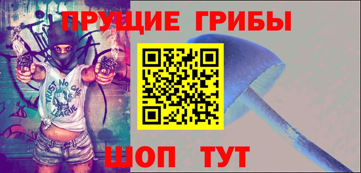 Псилоцибиновые грибы мицелий Тула