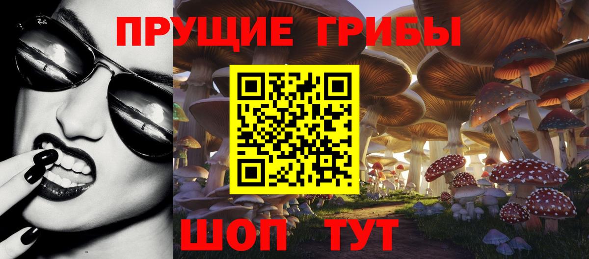 Тула  Псилоцибиновые грибы Magic Shrooms  Вход с VPN  Псилоцибиновые грибы MAGIC MUSHROOMS 