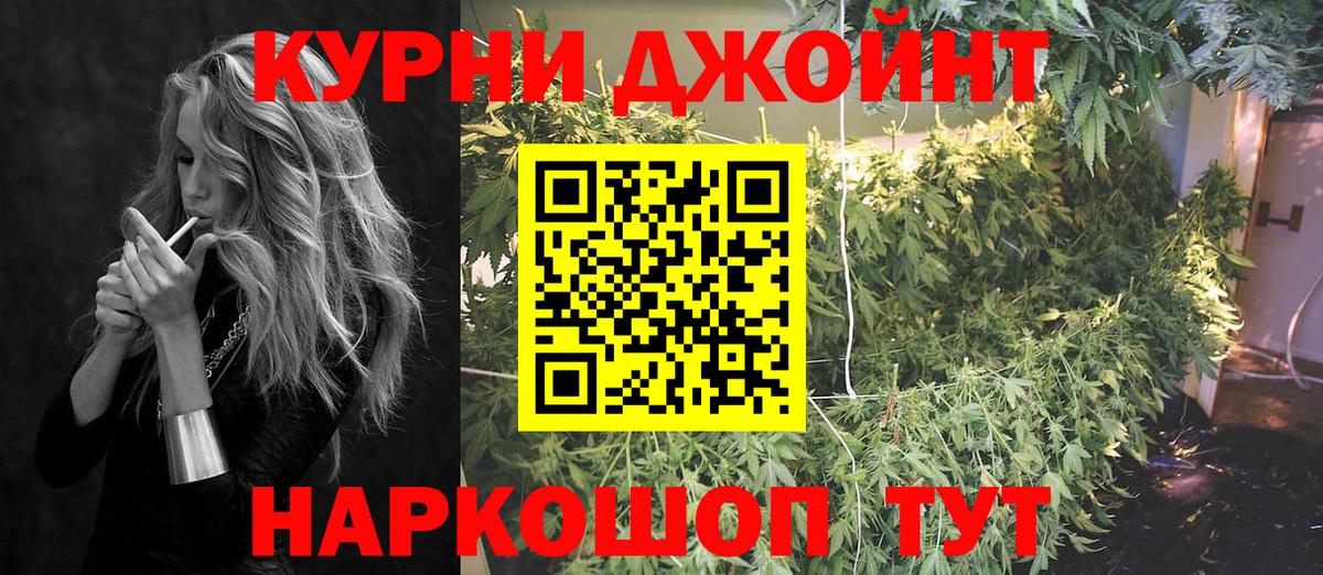 Канабис конопля Тула